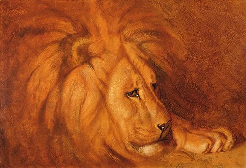 Affiche impression prints toile peinture murale Lion au repos Thayer