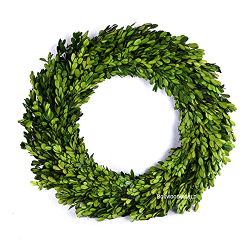 Boxwood Wreath Large 17 inch Preserved Nature Real Boxwood Wreath