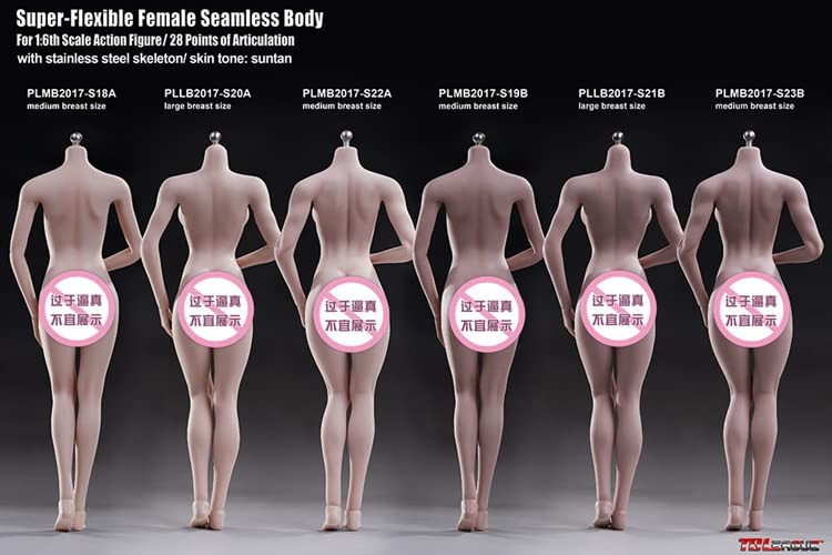 S20A 1/6スケール　PHICEN PLLB2017-S20A Amazon.com: i8 TOYS Phicen TBLeague 1/6 Scale Female