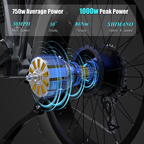 Damson Electric Bike 1000W 48V 20Ah Removable Battery Long Range Mountain Electric Bicycle Up To 30Mph All Terrain Fat Tire Electric Bicycles With Full Suspension & Dual Hydraulic Disc Brake #TOP2