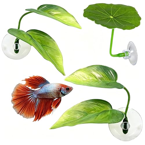 WEKVLPTH 3 Pack Betta Fish Leaf Pad Improves Betta's Health by Simulating The Natural Habitat - Betta Fish Leaf Hammock, Natural, Comfortable Rest Area for Fish Aquarium Ornaments