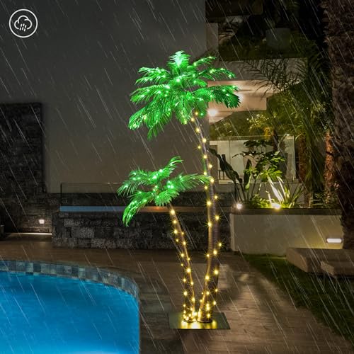 Listado y reviews de Palmeras belenes para comprar hoy. 3 Imagen adicional