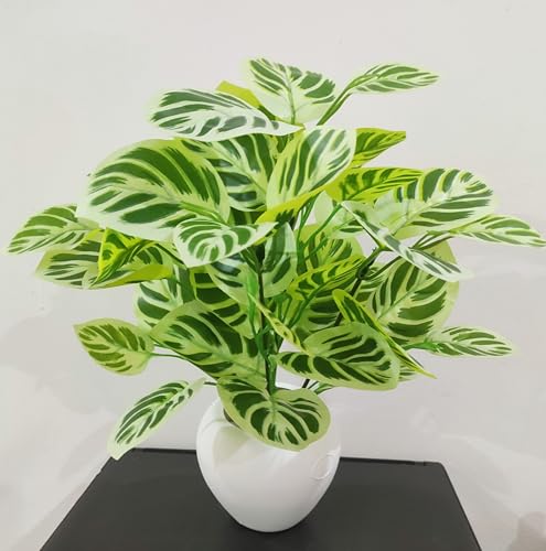 Image of Natural Looking Artificial Money Plant /Tree with Pot | Ornamental Plant for Interior Decor | Home /Shop /Office Decor (Yellow-Green)