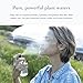 evanhealy Lavender Facial Tonic w/HydroSoul | 100% Pure Organic Plant Hydrosol | Balances, Protects, & Refreshes All Skin Types