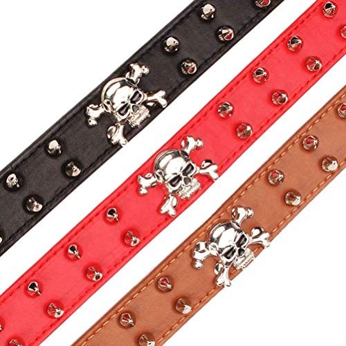 haoyueer Hundehalsband aus Leder mit Nieten, 2 Reihen Kugelnieten, PU-Leder – Cooles Totenkopf-Zubehör für mittelgroße und große Hunde (schwarz, M)
