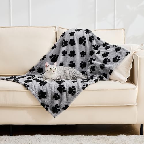 Qeils Jacquard Dog Blankets for Small Dogs, Cozy Calming Blanket for Indoor Cats, 280GSM Coral Fleece Plush Fluffy Throw Blanket, Black Paws, 25x30IN