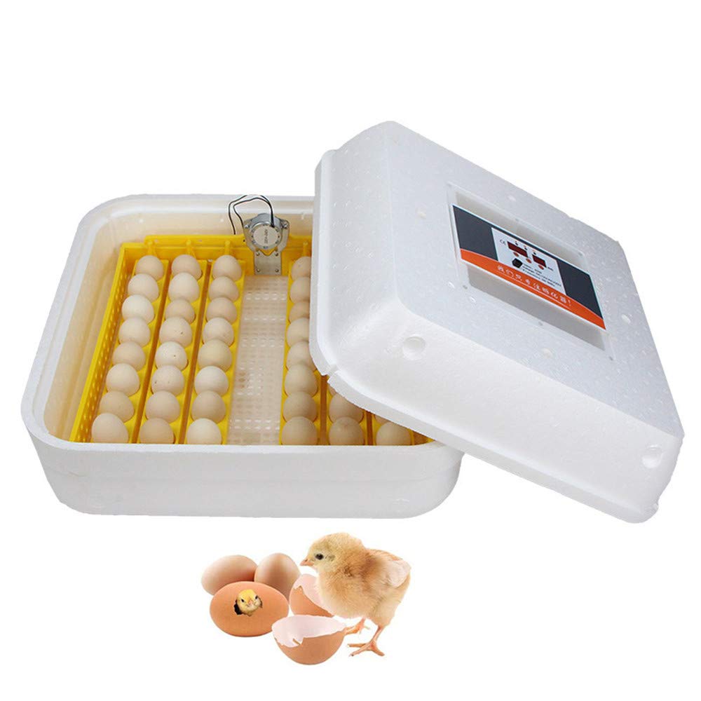 Buy Hatching Egg Incubator Digital Circulated Air Incubator with Automatic Turner, Egg