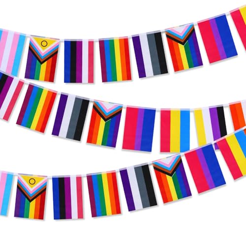 Rainbow Pride Flags Bunting 30 Rectangle UV Fade Resistant Fabric Flags 32.8FT/10M Progress Trans Lesbian Bisexual Pansexual Banner for Garden Outdoor Indoor LGBTQ Celebrations Party Decorations