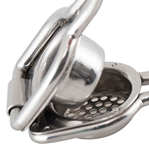 Homozy espremedor de alho inoxidável fácil de limpar