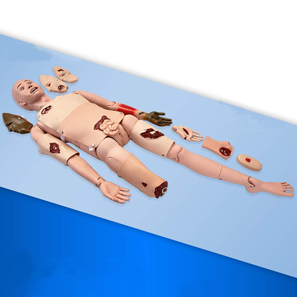 DSeenLeap Teaching Model,Patient Trauma Nursing Skills Training Manikin with a Variety of Removable Trauma Modules for 24 Trauma Care Training for Nursing Medical Training