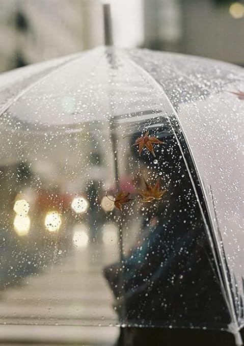 Image of Clear Transparent, Durable Wind-Resistant Umbrella | Special For Windproof Umbrella for Outdoor Events Rain-Decoration (White)