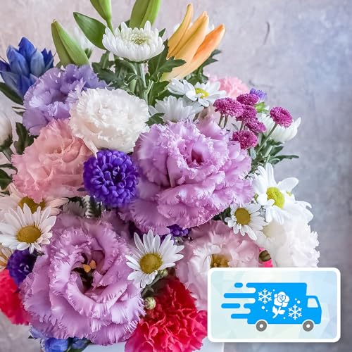 yNx̂܂܁z t[AWg LTCY (eEaԃC) (//l\///@/@v/~/ފ) [`s̉ԉ t[Xg]