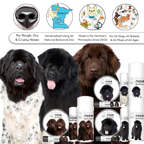 Image of The Blissful Dog Bronze Newfoundland Nose Butter, 4OZ