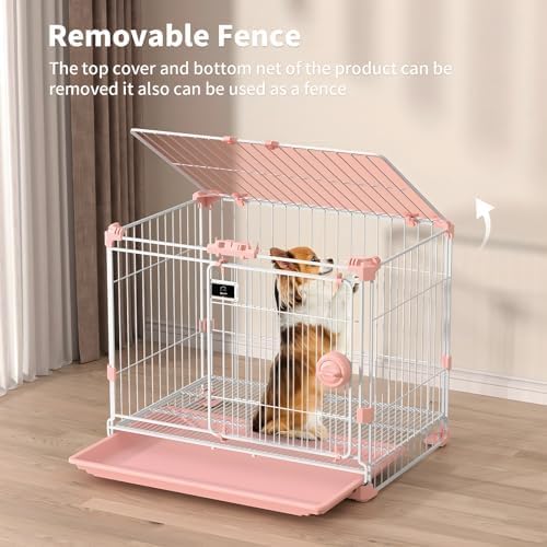 https://m.media-amazon.com/images/I/51HWEJseW5L._AC_.jpg