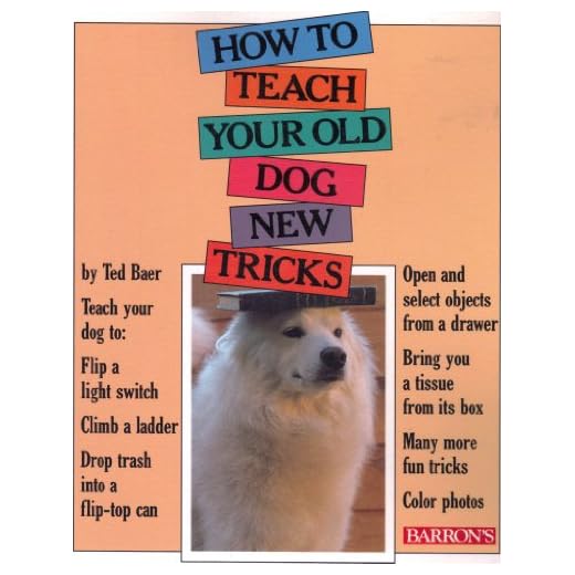 How to Teach Your Old Dog New Tricks