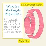 Country Brook Petz - Martingale Dog Collar - Heavy-Duty Training Collar with No Buckle - Service Dog Collar for All Pups - 20 Vibrant Colors (Pink, 1 Inch, Medium) - Image 5