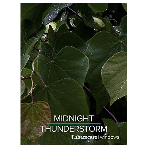 Midnight Thunderstorm for Sleep 9 Hours