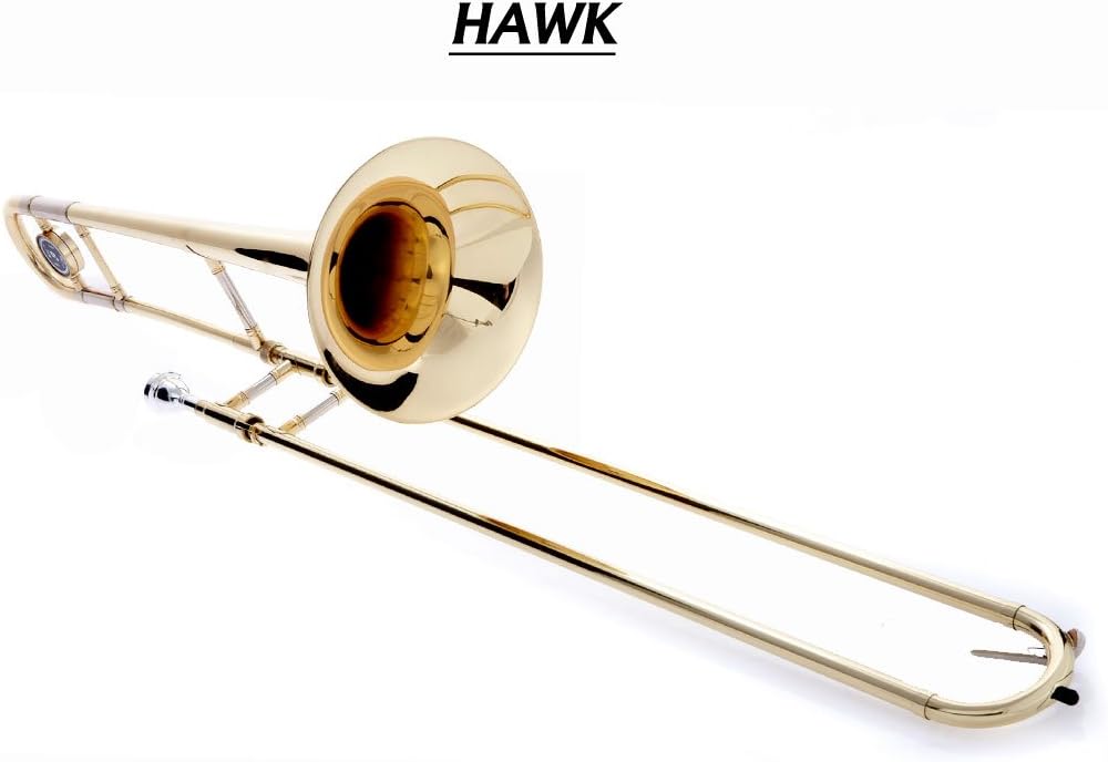 Hawk WD-TB316 Slide Bb Trombone with Case and Mouthpiece, Nickel Plated : Musical Instruments
