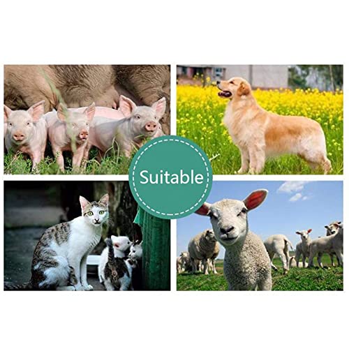 Scanner portatile a ultrasuoni B per diagnostica veterinaria in gravidanza con sonda convessa da 3,5 MHz per pecore, cani, gatti e maiali - stima del numero di feti e frequenza cardiaca fetale