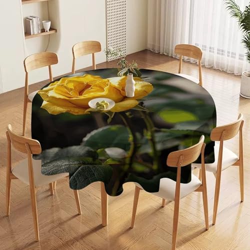 Nappe ronde 152 cm Growing imperméable et antitache pour table - 6