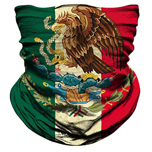 Seamless Neck Gaiter Shield Scarf Bandana Face Mask Seamless UV Protection for Motorcycle Cycling Riding Running Headbands (eagle)