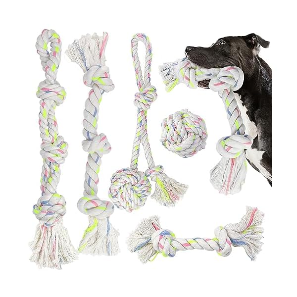 5 Natural Cotton Dog Toys Set