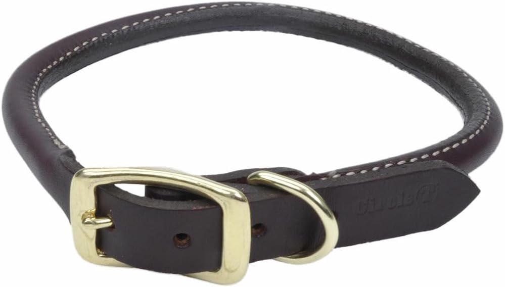Coastal Pet - Circle T - Latigo Leather Round Dog Collar with Solid Brass Hardware, Latigo, 1" x 22"