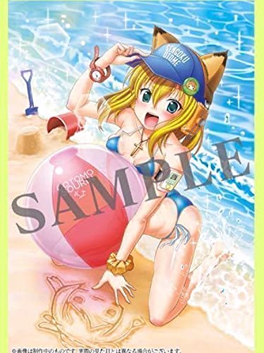 Amazon.co.jp: 白組プロデュース 戦国乙女 フィギュア 大友ソウリン 8