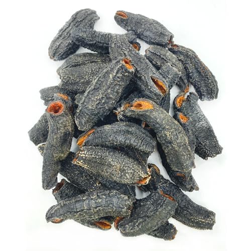Pureca Dried Sea Cucumber Premium Deep Sea Atlantic Canada Wild Caught thumb #3