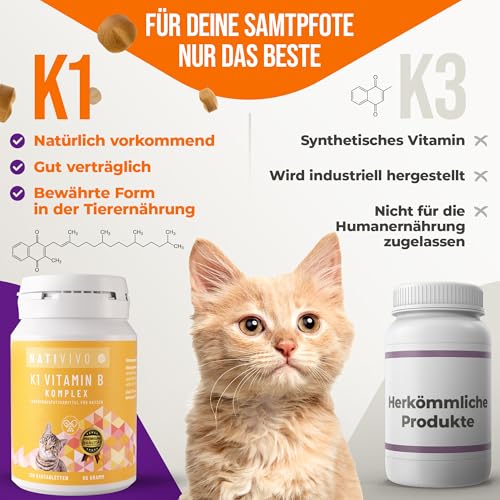 NatiVivo K1 Vitamin B Komplex Katze – hochdosierte Hunde Vitamine mit Vitamin B1, B12 & Folsäure Vitamine für Katzen 120 Premium Tabletten Made in Germany