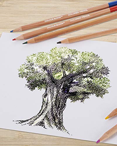 Colour Block Colored Pencil Set - 24Pc Colored Pencils With Premiun Cedar Handle And Bonus Vinyl Eraser And Sharpener In A Tin Storage Box. #TOP2