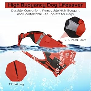 Bonaweite Dog Lifejacket High Visibility Dog Life Vest Ripstop Dog Lifesaver Puppy Life Preserver with High Flotation for Swimming Boating Lightweight Pet Life Swimsuit for Small Medium Large Dogs  Cucciolini Doodles Bonaweite dog lifejacket high visibility dog life vest ripstop dog lifesaver puppy life preserver with high flotation for swimming boating lightweight pet life swimsuit for small medium large dogs   cucciolini doodles