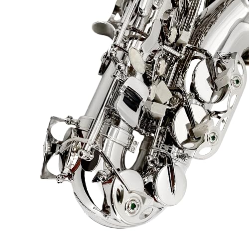 Image of Alto Sax Saxophone Beginner Kit Alto Saxophone E Flat with Mouthpiece Carrying Case Straps 10Reeds for Students and Adults