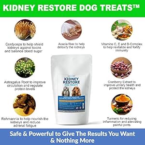 Kidney-Restore-Dog-Treats-with-Hard-Copy-Special-Report-Kidney-Support-Chew-Biscuit-Cleanse-Renal-Canine-Cookie-for-Kidneys - Cucciolini Doodles Kidney-Restore-Dog-Treats-with-Hard-Copy-Special-Report-Kidney-Support-Chew-Biscuit-Cleanse-Renal-Canine-Cookie-for-Kidneys
