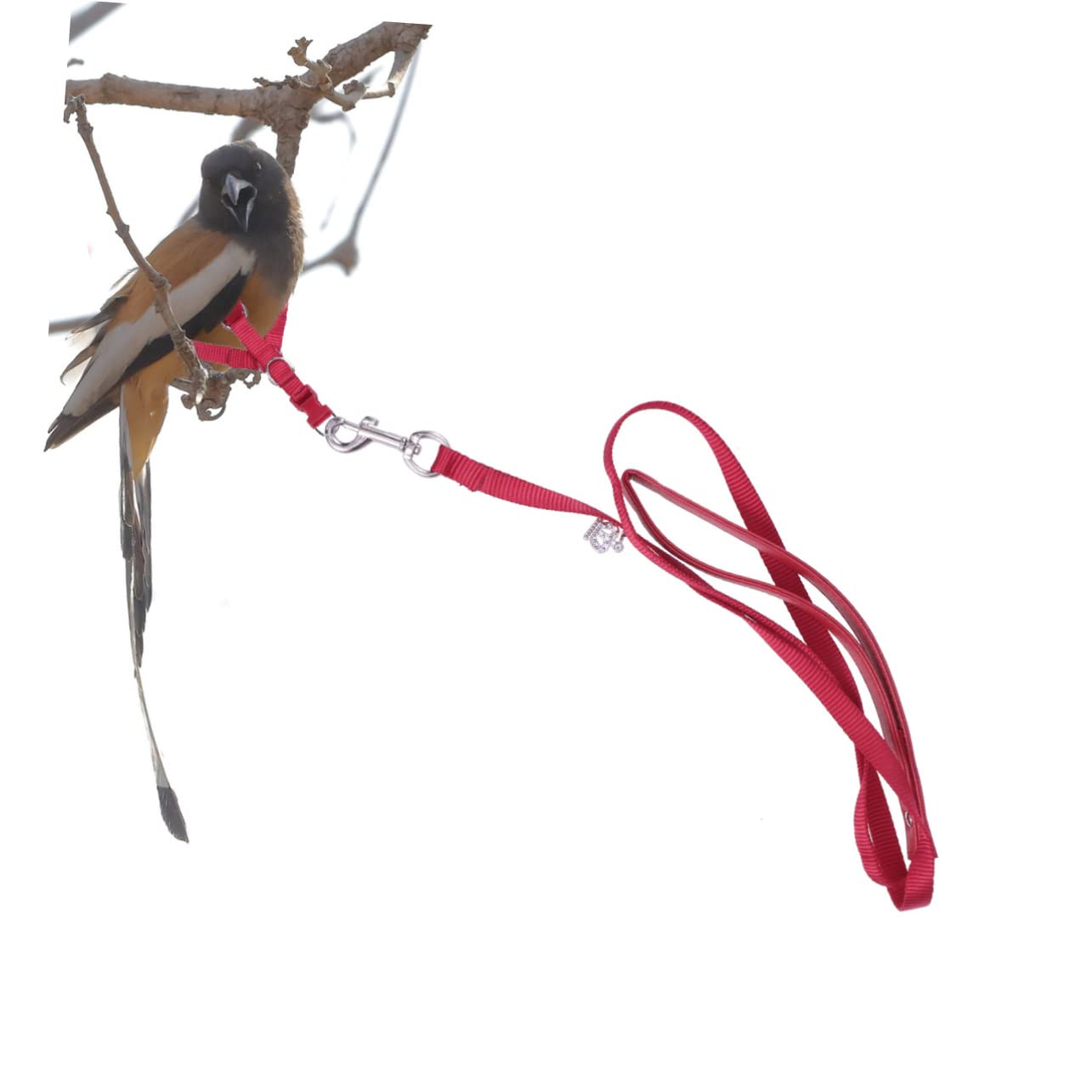 BESTonZON Adjustable Red Parrot Harness with Leash Durable Bird Leash for Outdoor Walking Easy Installation Suitable for Birds for Training and Daily Use