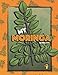 Produktbild My Moringa