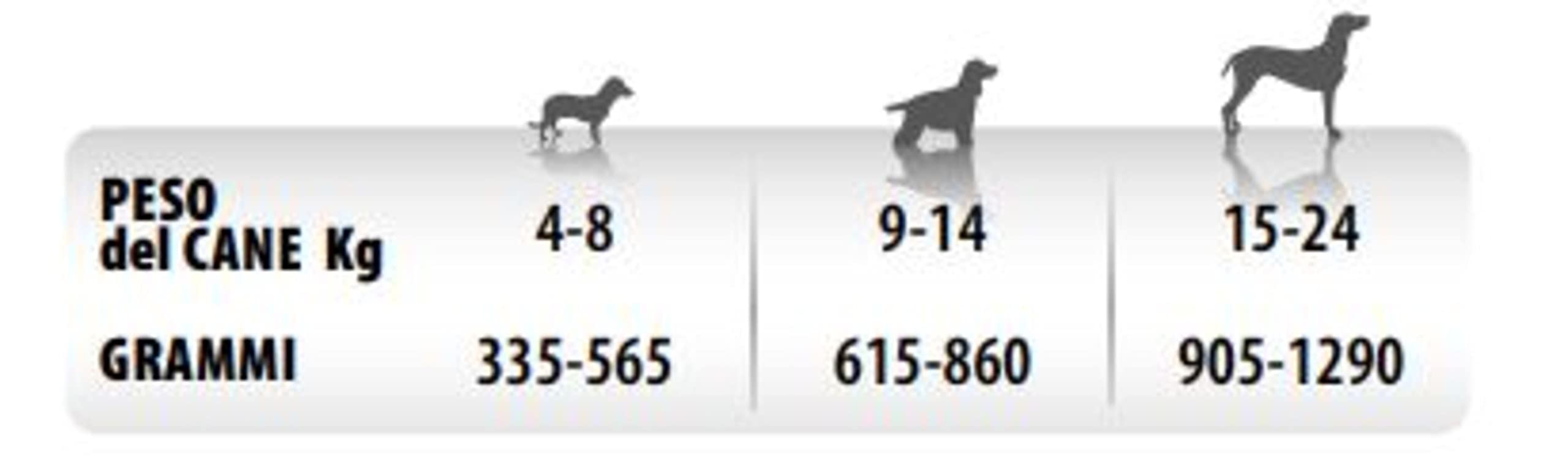 Monge Monoprotein Cibo umido per Cane Anatra con Lamponi, naturalmente senza coloranti, conservanti e zuccheri aggiunti. Confezione da 24 vaschette (1 = 150gr.)