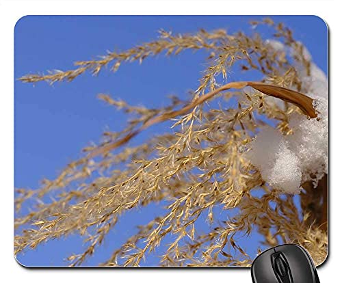 Preisvergleich Produktbild Mauspad Winter Schnee Grassamen Grassamen Natur Pflanze Gaming Mousepad Anti Rutsch Gummiunterseite Ultradünner Gaming Mausmatte Stabiler Mausunterlage Für Laptop / Pc, 25X30 Cm