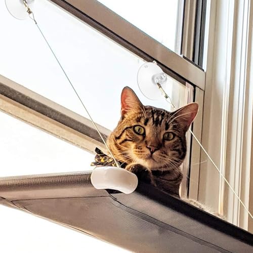 Vin Beauty 593732_1_IBZFYRDV 4 Pcs Cat Window Perch Suction Cup Large Replacement Clear Pvc Sucker Pads Powerful Suction Cups thumb #6