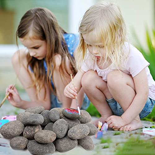 Image of Gray Pebbles for Painting, 45 Pic Stone 2-3 inches Perfect for Painting Kindness Kids Party,Crafts Garden, Landscape and Decorative Pebbles Stones