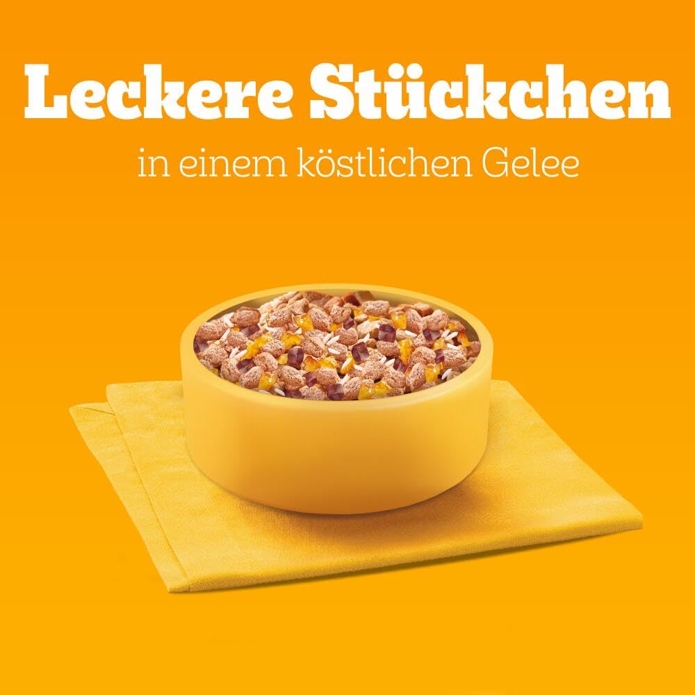 PEDIGREE Junior Multipack Gemischte Selektion in Gelee Hundenassfutter im Portionsbeutel für junge Hunde 4 Varietäten 84 x 100g
