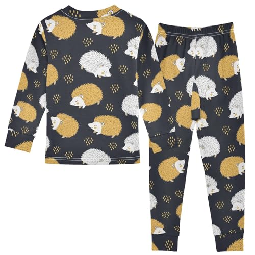 Pajama Sets Long Sleeve Cute Hedgehogs Black Background Soft Comfy Sleepwear 2 Piece PJS 3-8T3