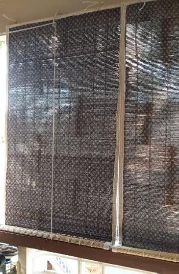 TCLPVC 4/7 Bamboo Multipurpose Outdoor Rain Sun 50 Percent Shade Dust Privacy Cold Protections Blinds Procuct- OpenShades