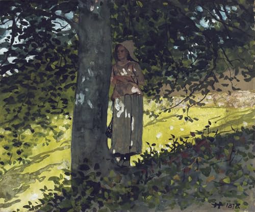 Lienzo decorativo premium SERENDIPITP Winslow Homer pintura de alta fidelidad 60x90cm