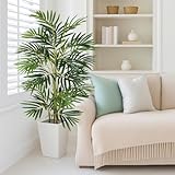 Magic Style Home