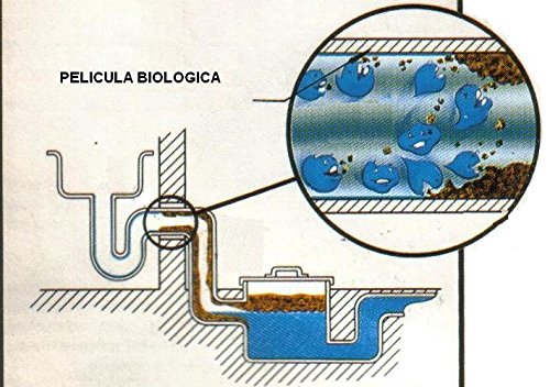 La Mejor comparativa de Biodigestor rotoplas 1300 litros precio Top cinco. 5 Imagen adicional