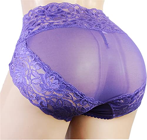aishani mens lace underwear briefs sissy pouch panties for men QD - (purple, L)3