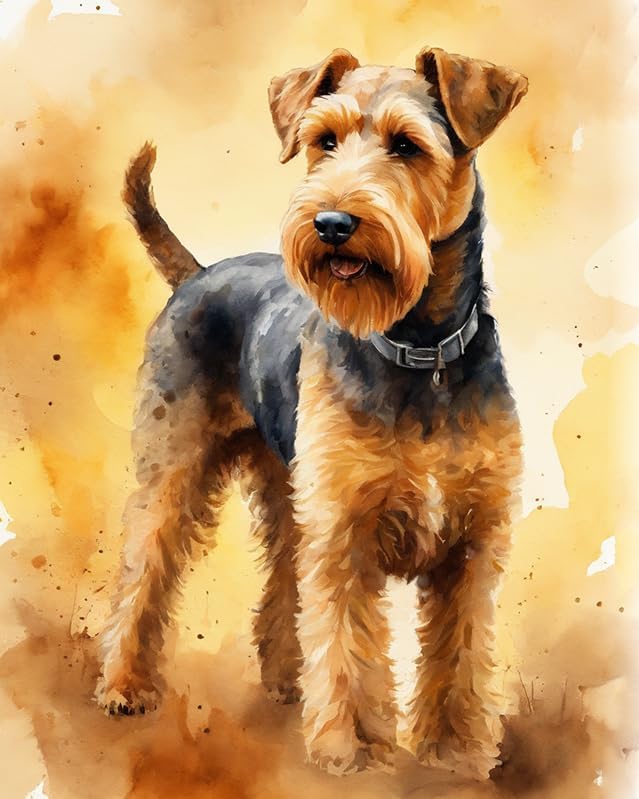 ZMHZMY Airedale Terrier Dog,DIY Oil Painting Paint by Numbers Kits for Adult Color According to The on Canvas,40x50cm No Frame