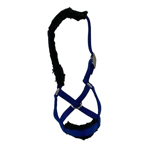 Miniatura 3 de Padded Cattle Halters Matching Lead LEASH Bull Cow Yearling Calf Newborn Handmade (Calf, Lime Green)