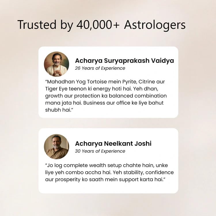 Image of Astrotalk Maha Dhan YOG Tortoise Combo | Resin Pyrite, Citrine & Tiger Eye Turtle for Wealth, Prosperity & Protection | Tortoise for Good Luck for Home Decor & Office | Home Decor for Living Room